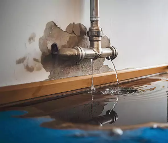 Professional Water Damage Restoration Experts in Woburn, MA — Fast, Reliable & Certified