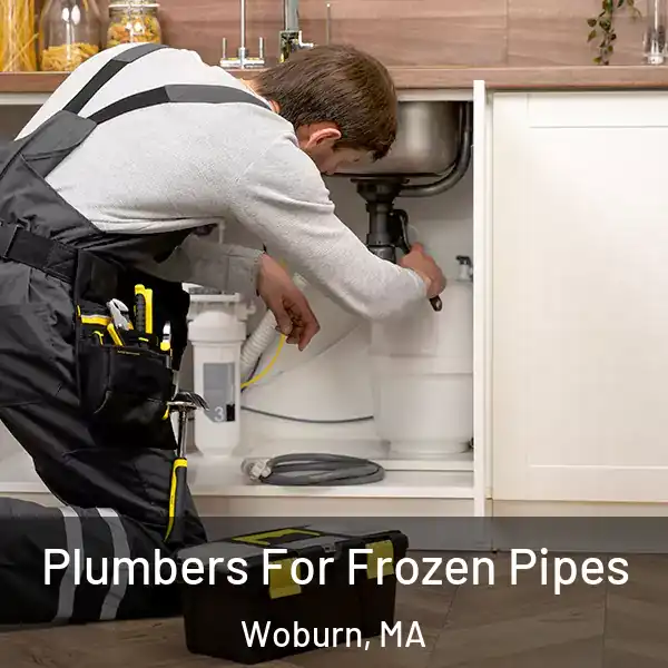  Plumbers For Frozen Pipes Woburn, MA