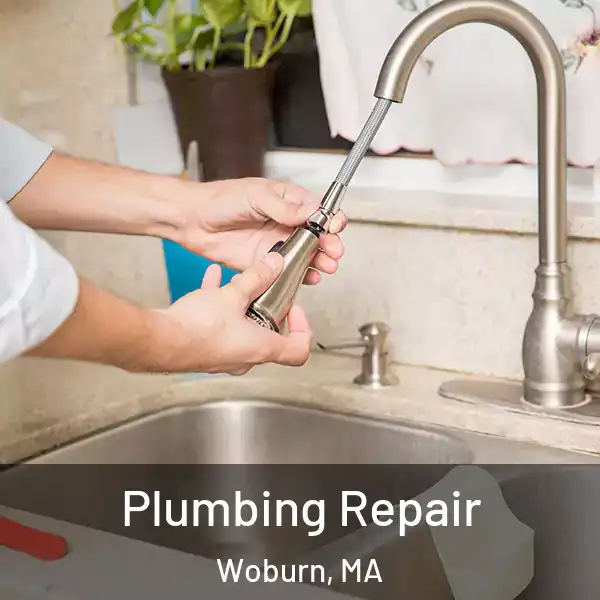  Plumbing Repair Woburn, MA