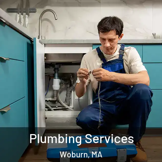  Plumbing Services Woburn, MA