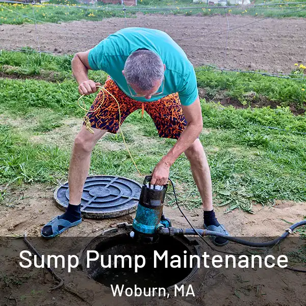  Sump Pump Maintenance Woburn, MA