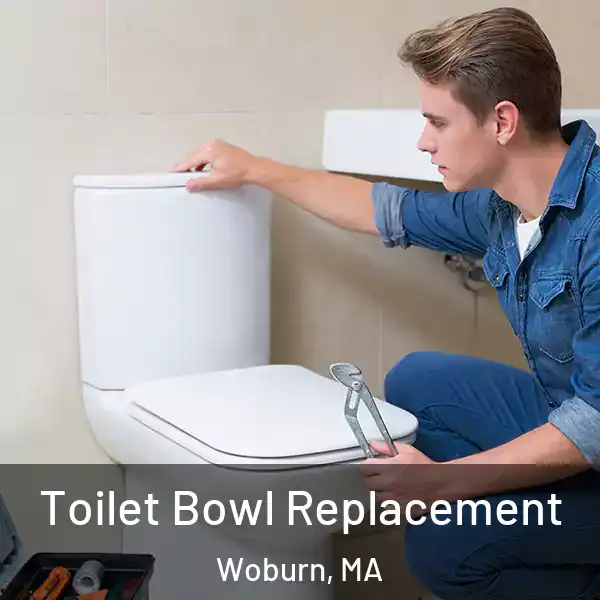  Toilet Bowl Replacement Woburn, MA