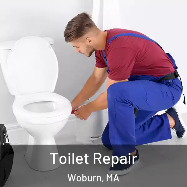  Toilet Repair Woburn, MA