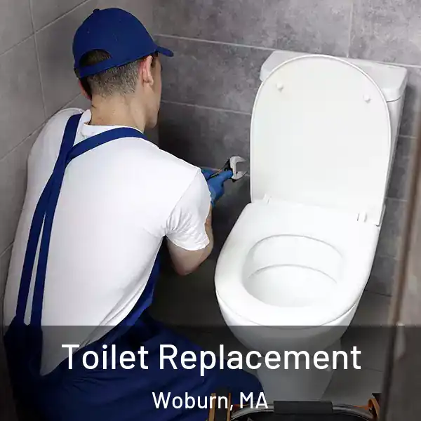  Toilet Replacement Woburn, MA