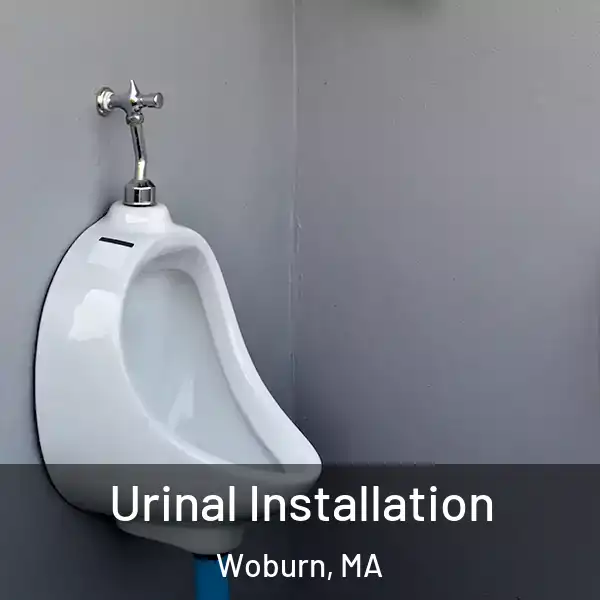  Urinal Installation Woburn, MA